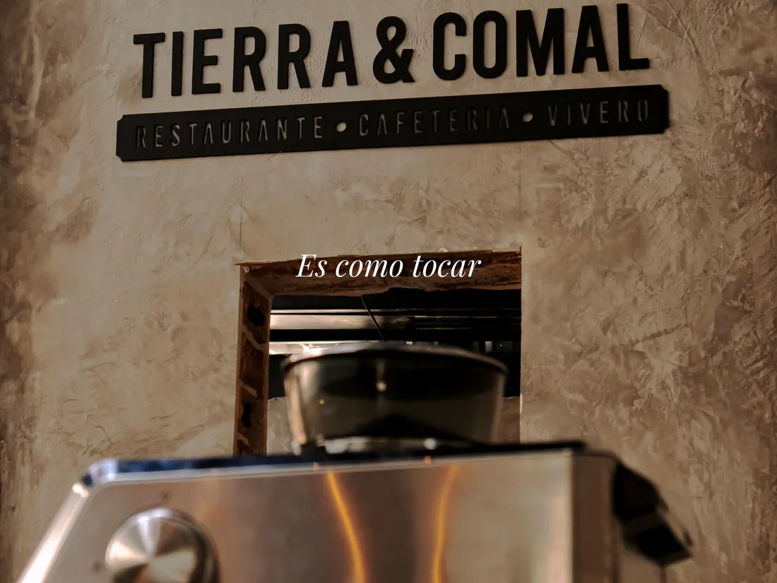 Tosta con brotes frescos de la carta de desayunos